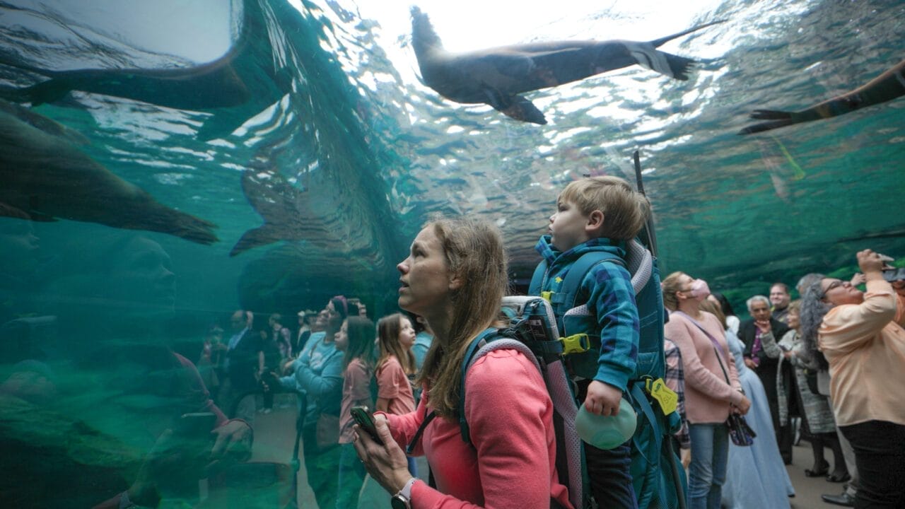 Houston Zoo's Galápagos Islands Exhibit | Celebrate Mother's Day
