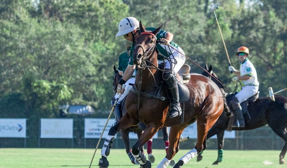 Houston Polo Club - In Houston This Week