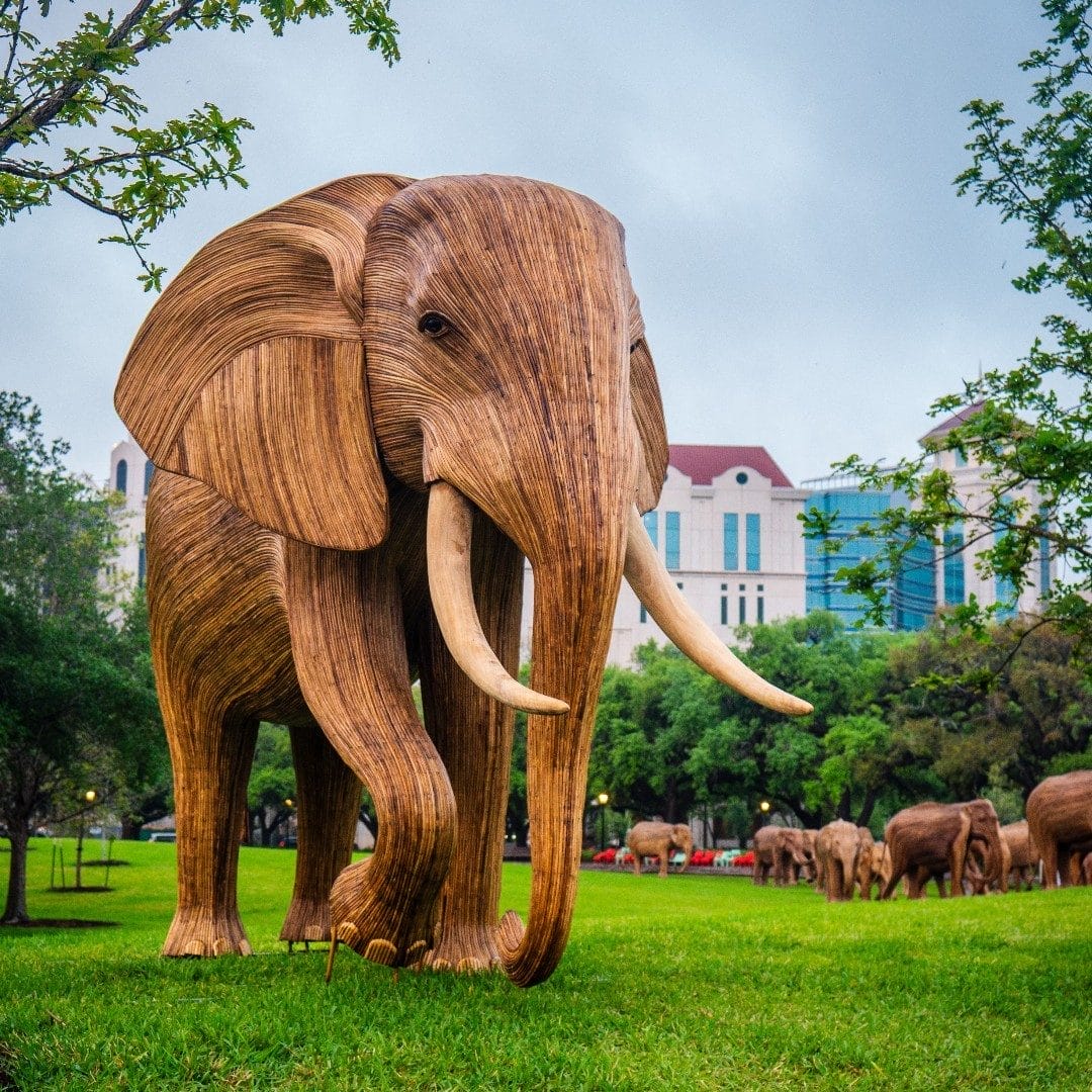 Wooden Elephant Herd