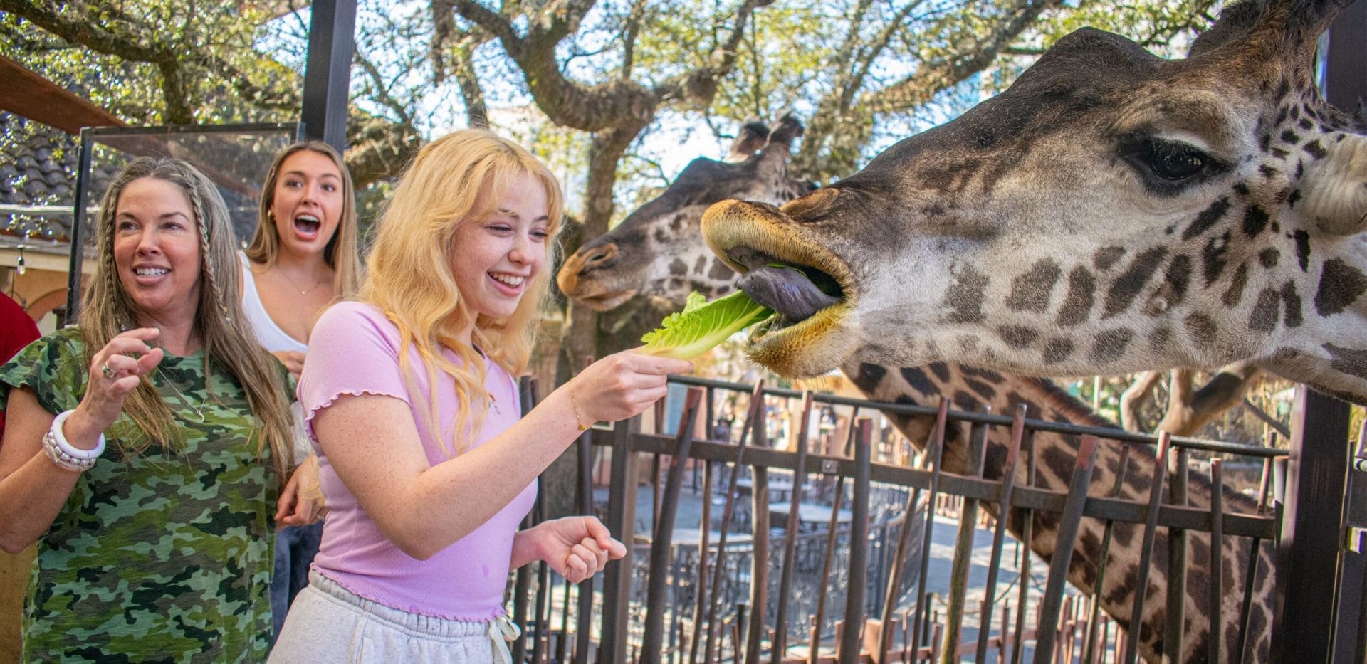 Houston zoo Family-Friendly Activities in Houston