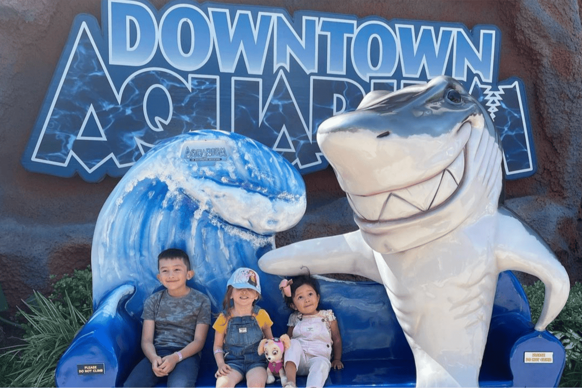 downtown aquarium Family-Friendly Activities in Houston