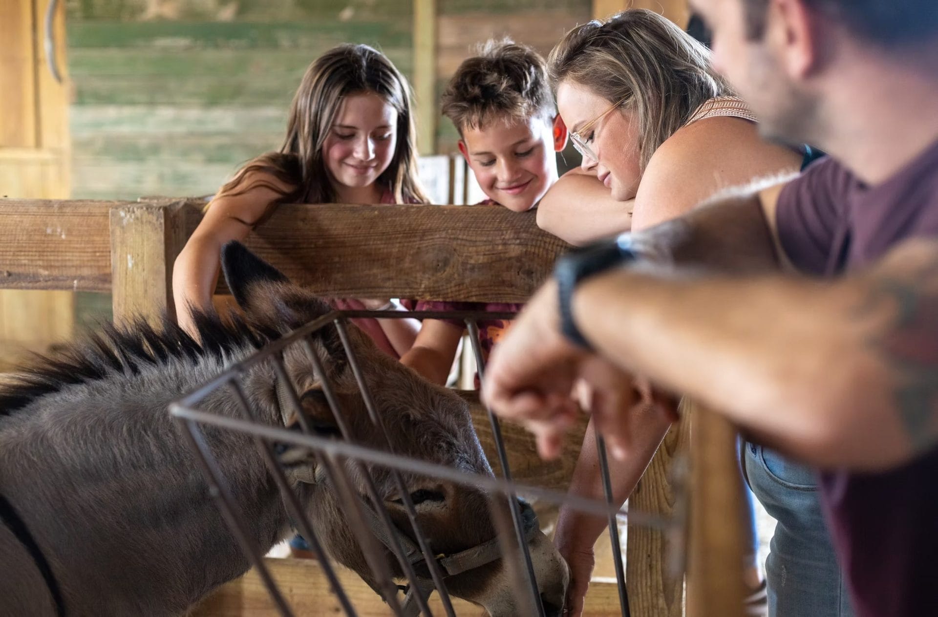 Family-Friendly Activities in Houston