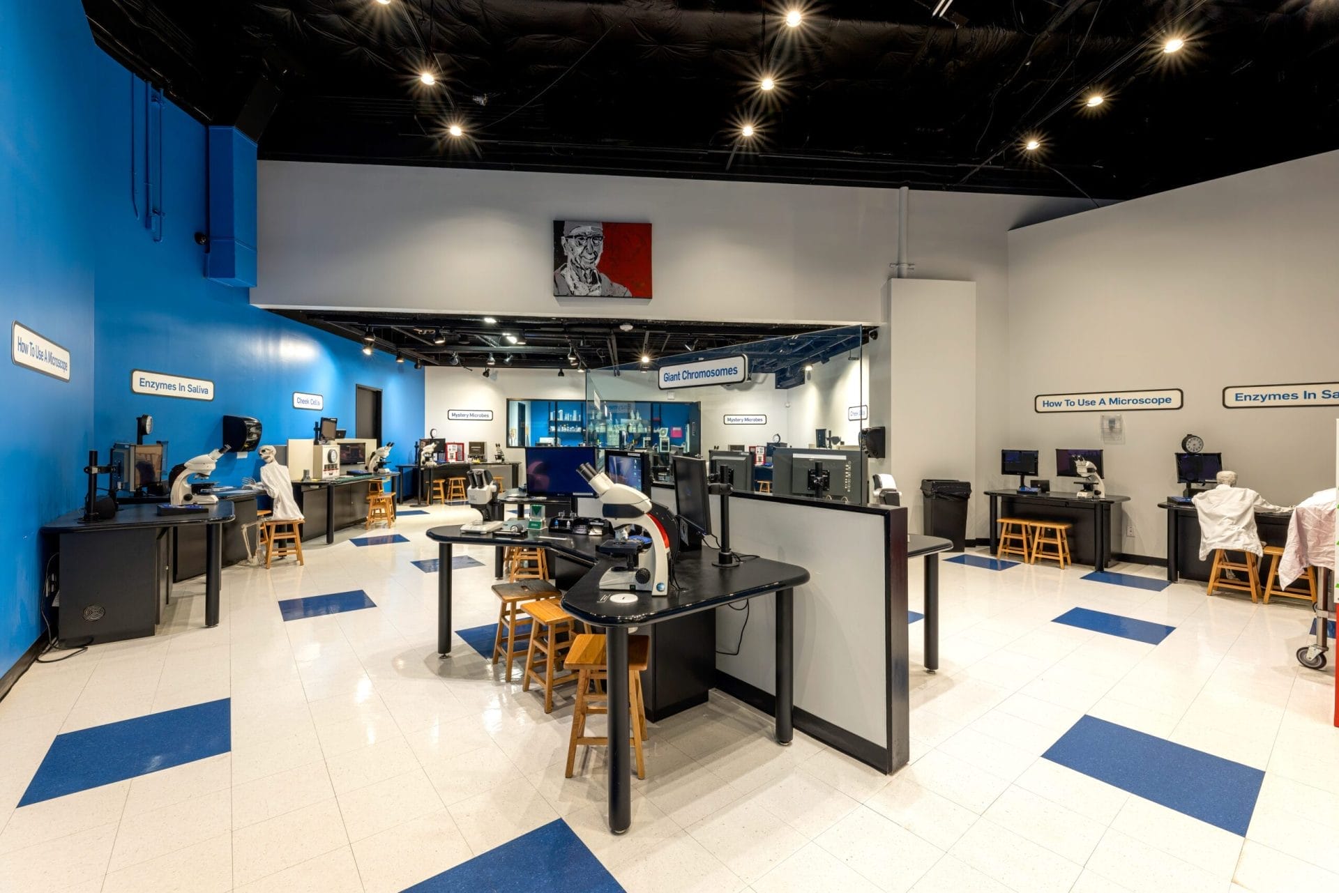 immersive art experiences in Houston