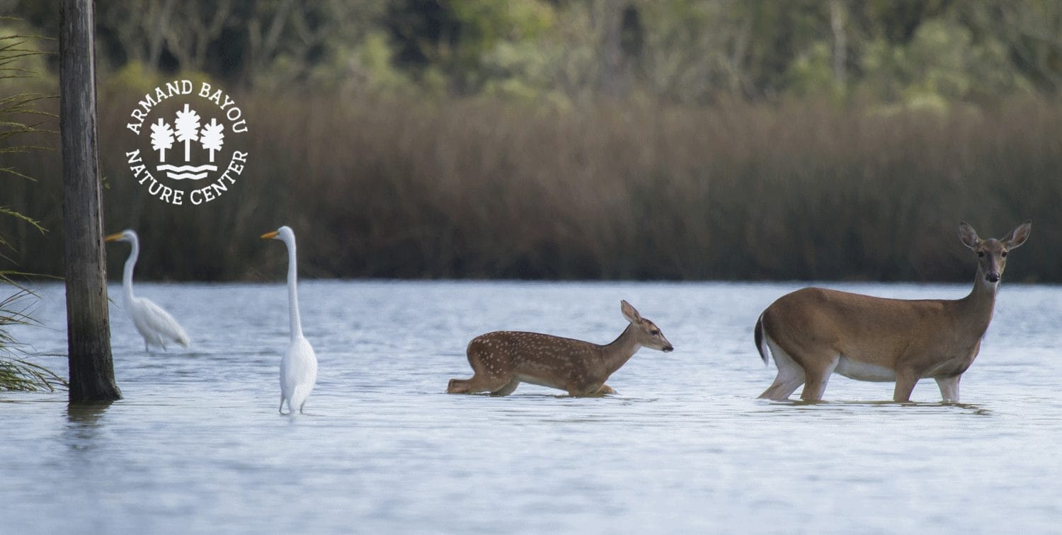peaceful outdoor spots in Houston