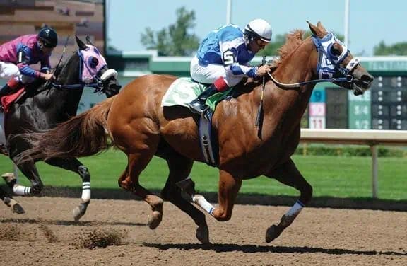 ThoroughBred Racing - Quarter Horse Meet