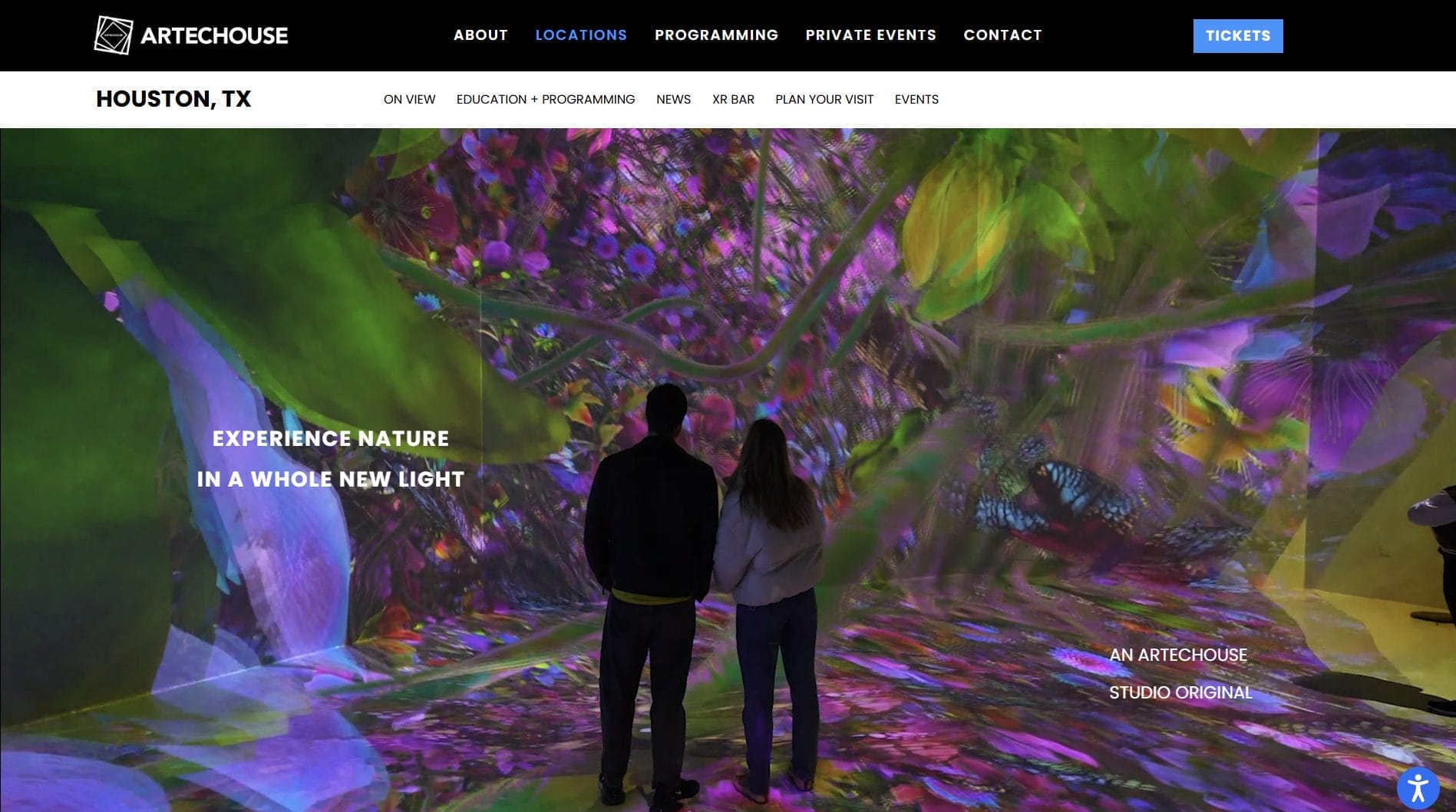 Blooming Wonders at ARTECHOUSE