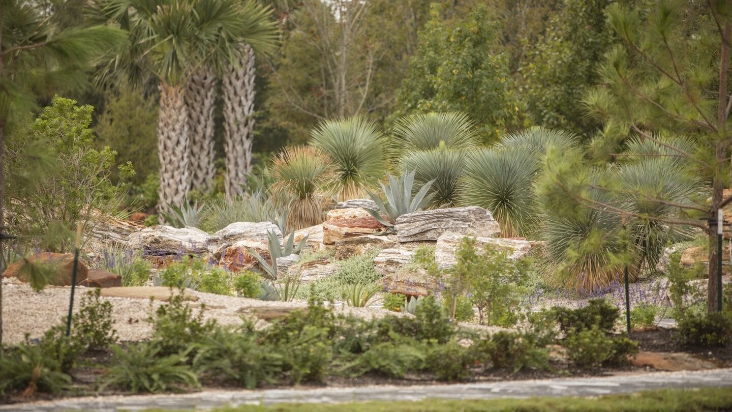 Houston Botanic Garden