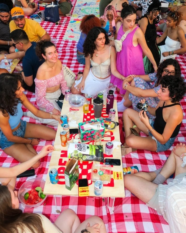 A Friendship Day Picnic