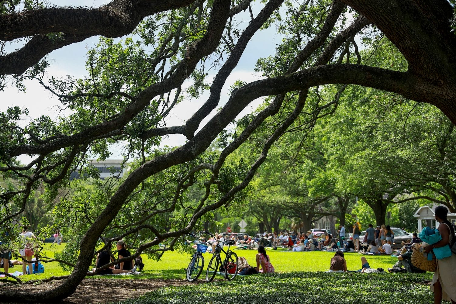 Menil Park Friendship Day Picnic Houston