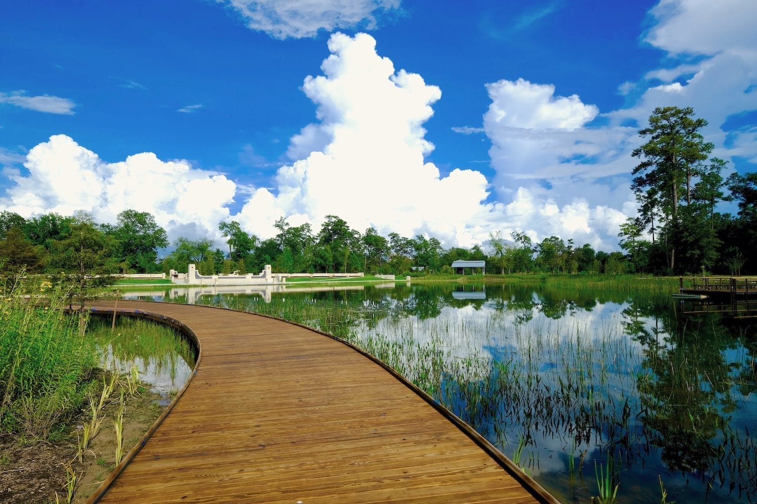 Clay Family Eastern Glades