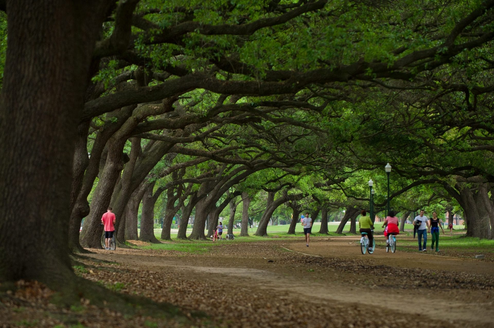 Hermann Park