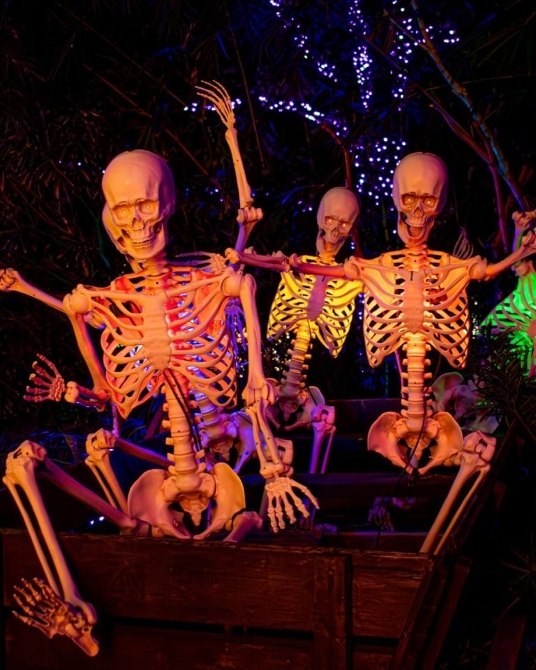 Best Halloween Events & Activities in Houston 