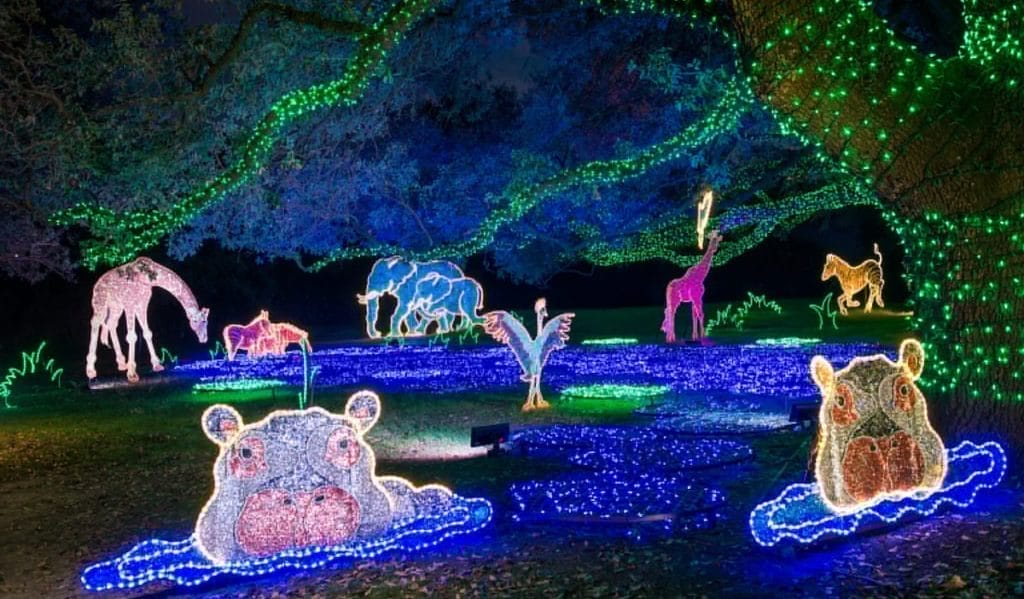 Zoo Lights at the Houston Zoo, Houston Christmas Lights 2025