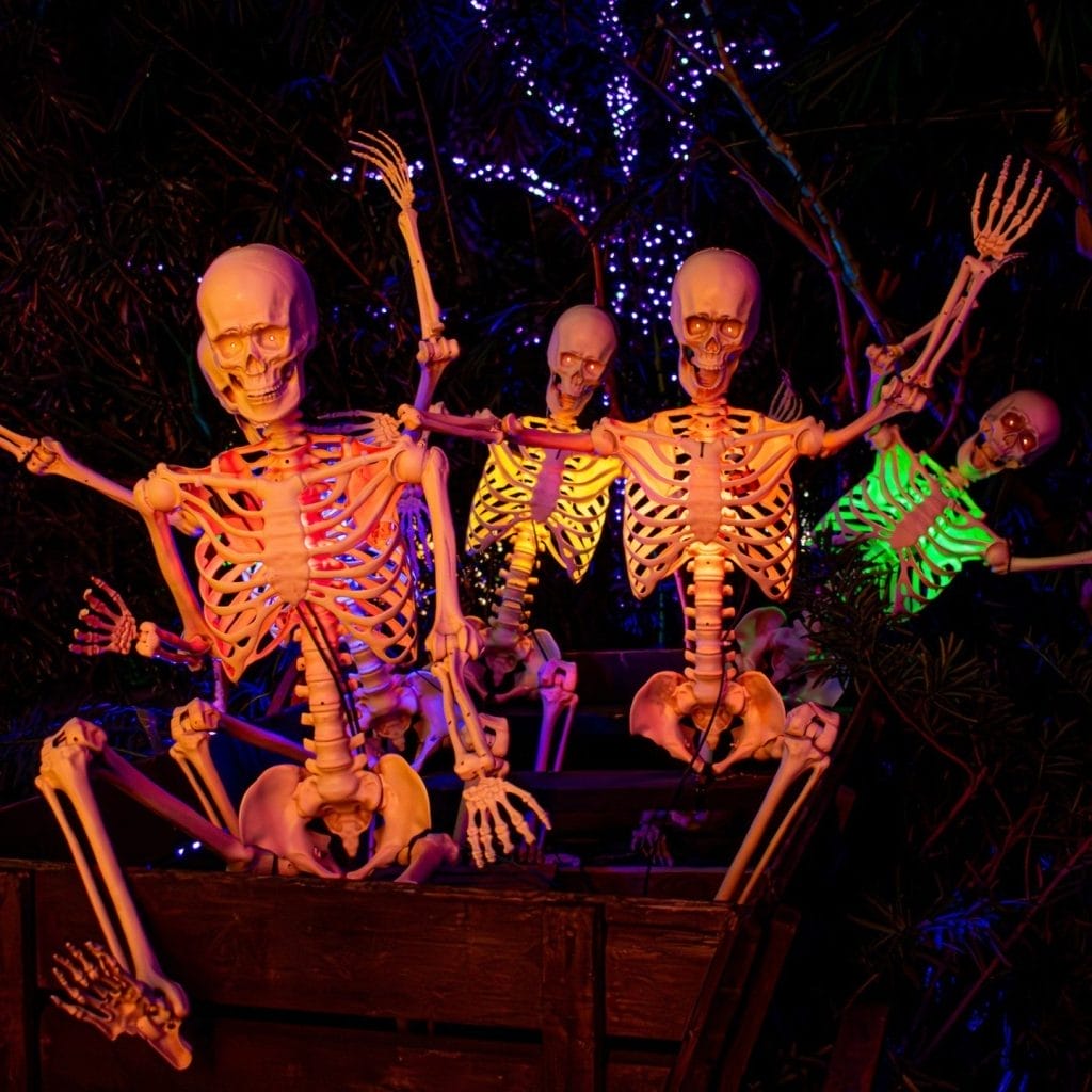 Zoo Boo at Houston Zoo