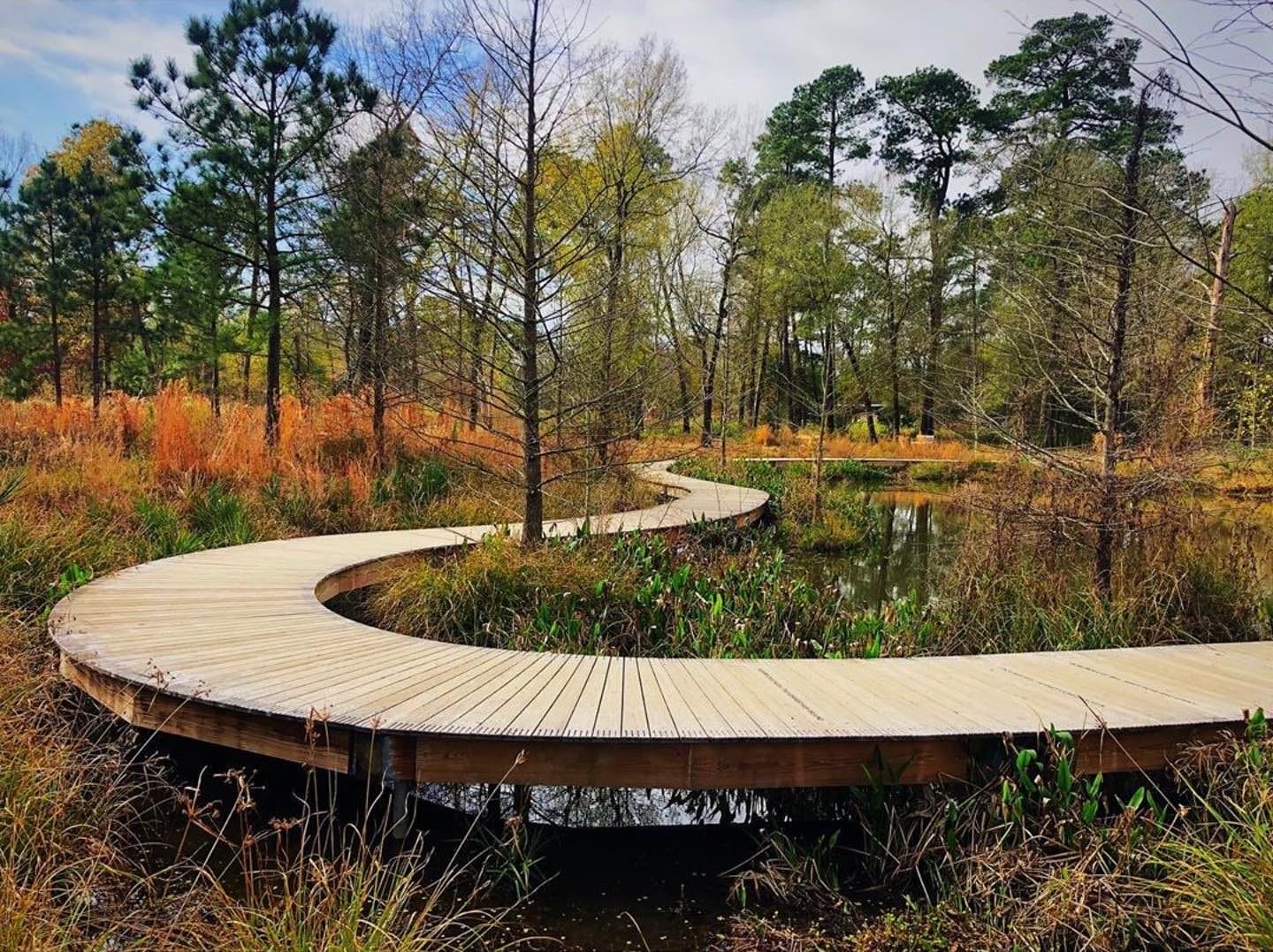 Where to See Fall Foliage In Houston, Houston Arboretum & Nature Center