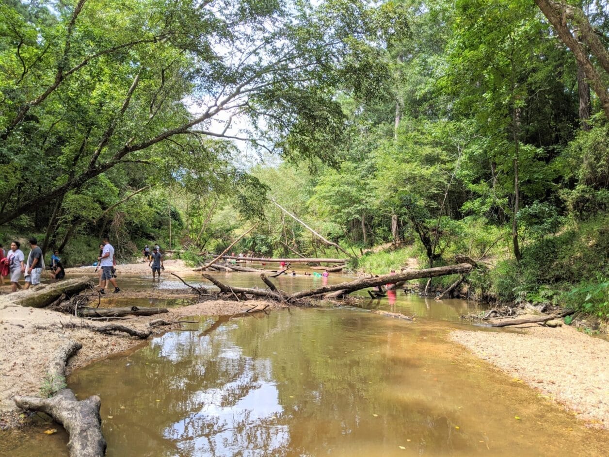 Lake Houston State Park