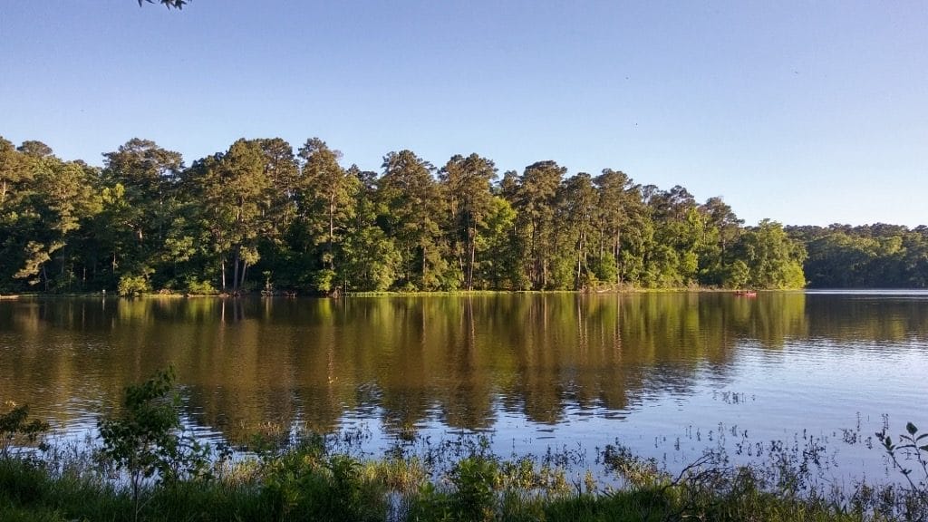 Sam Houston National Forest