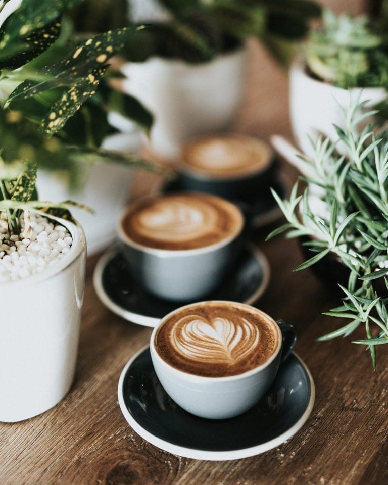 Instagram Cafes in Houston: Most Instagrammable Spots