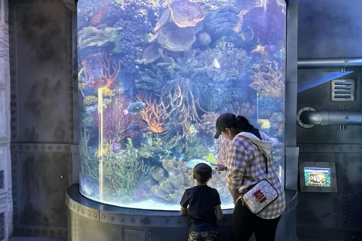 Downtown Aquarium