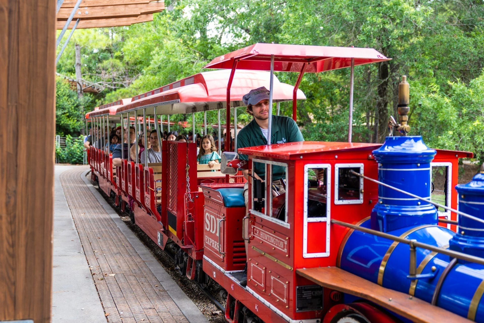 Hermann Park Mini Train Ride, budget-friendly things to do in Houston