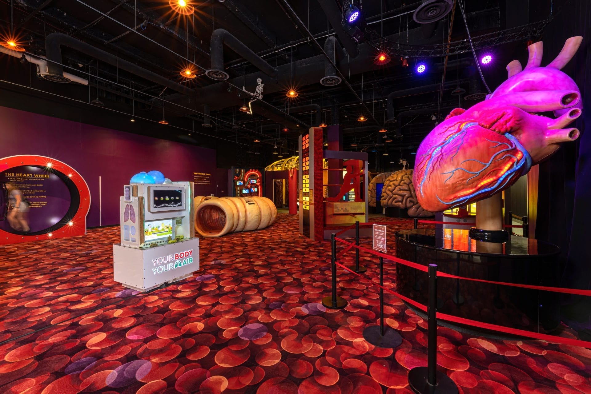 The Health Museum, best things to do in rainy day in Houston