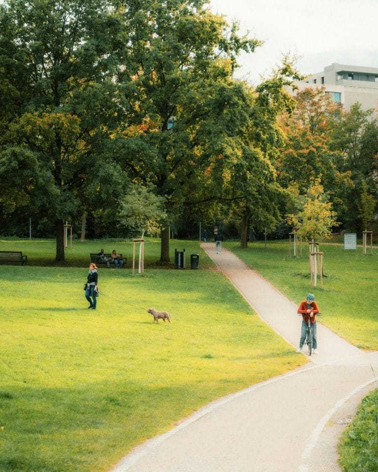 Weekend Getaway Trips in Houston This November