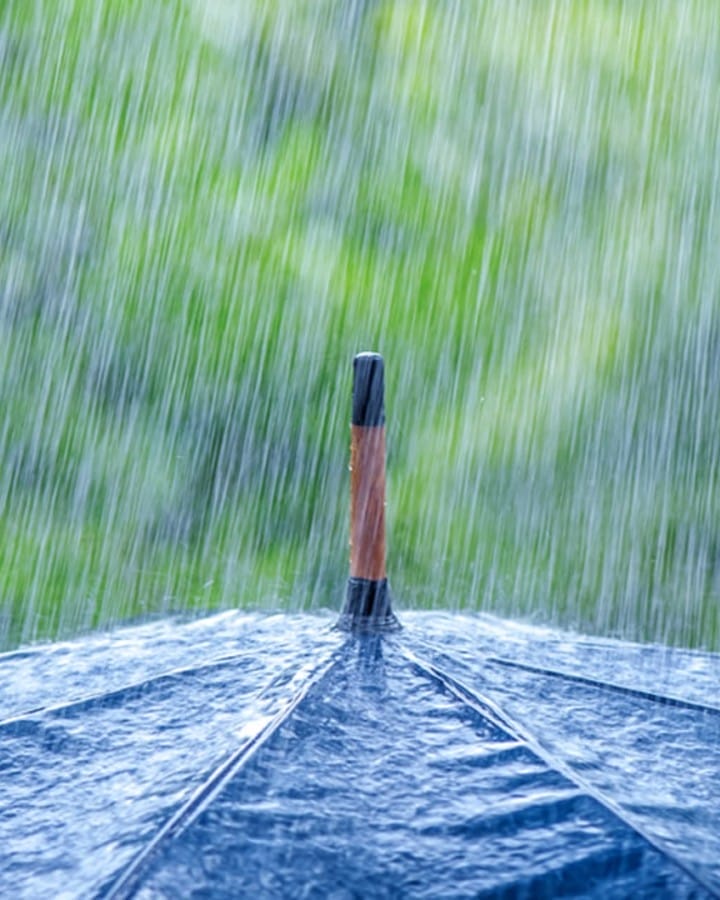 Best Things to Do in Rainy Day in Houston: Top Indoor Activities