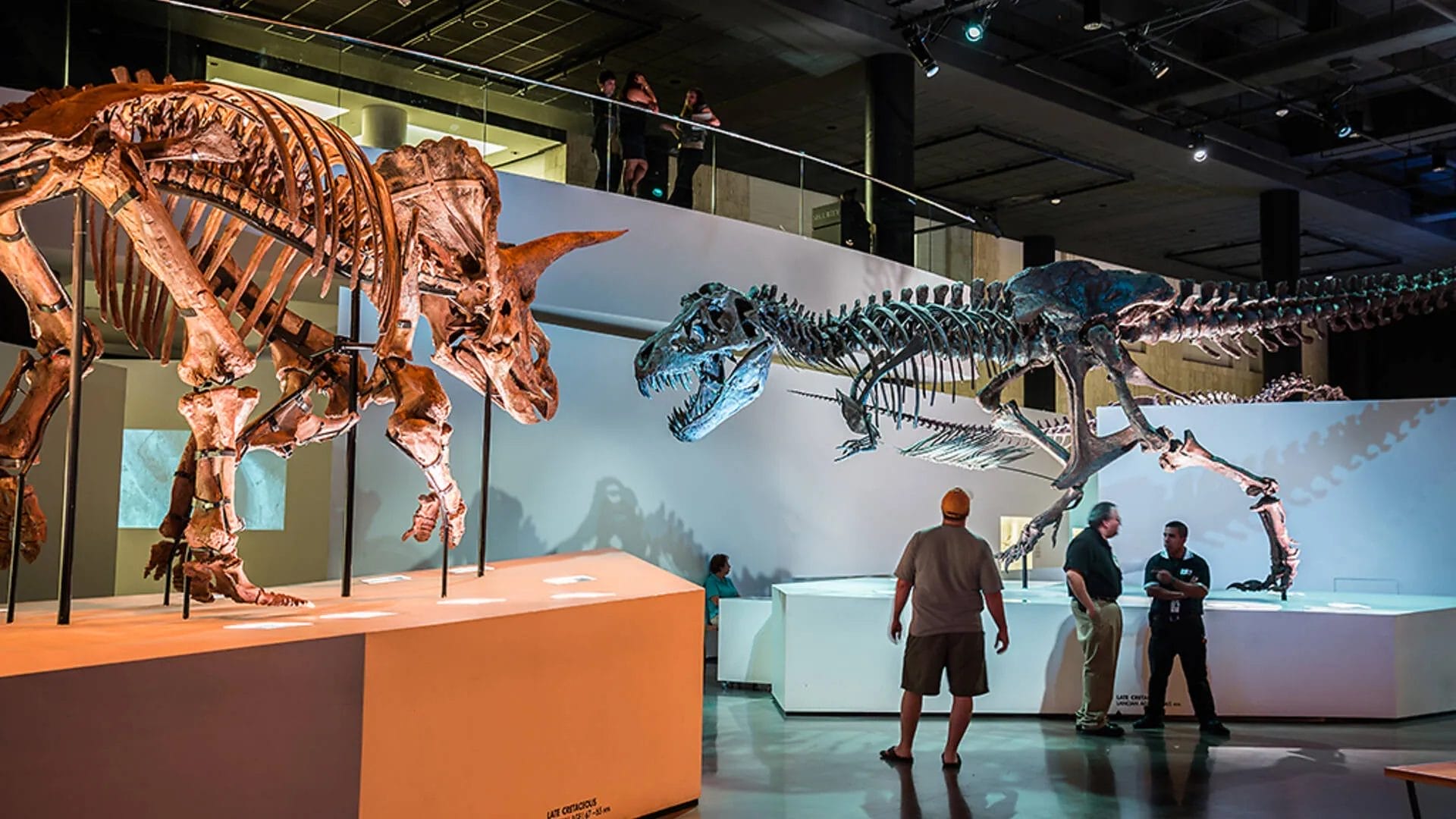 Houston Museum of Natural Science