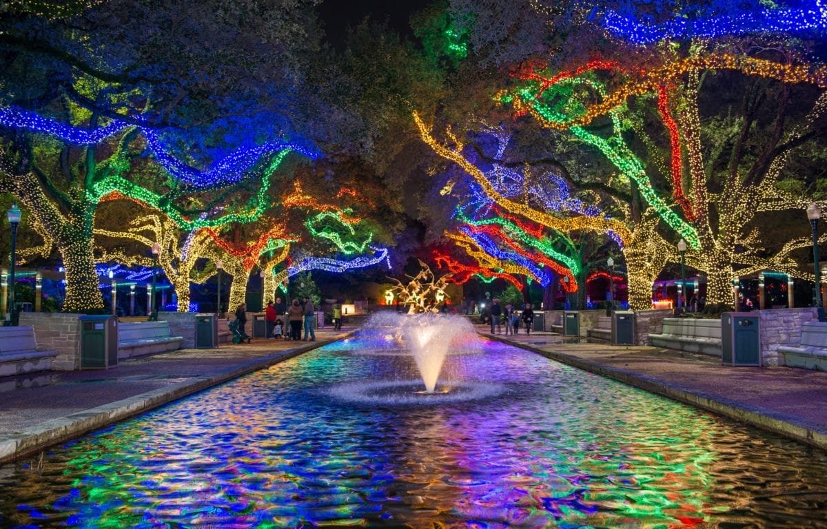Zoo Lights
