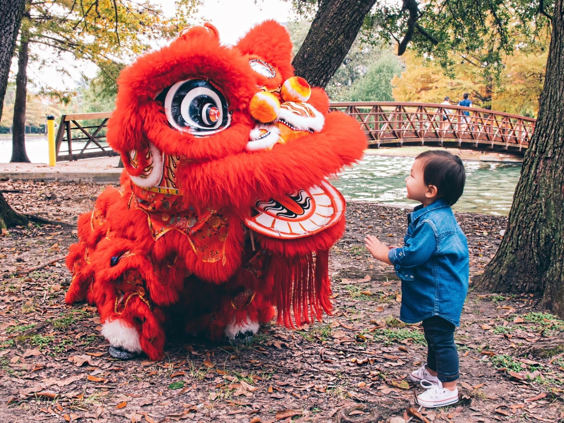 Texas Lunar New Year Houston
