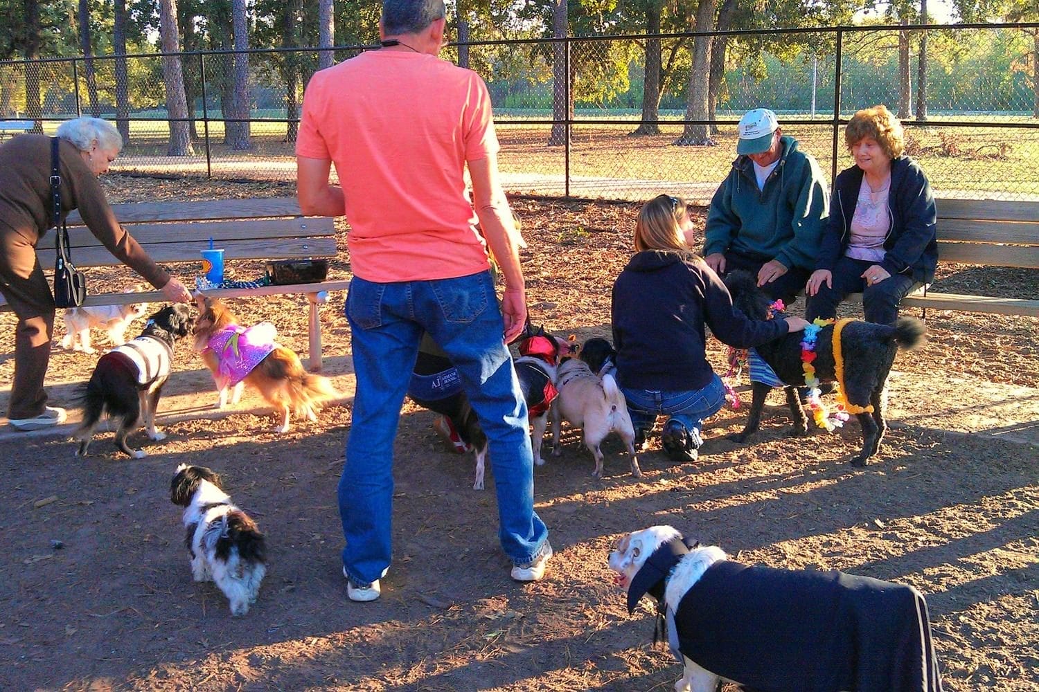 T.C. Jester Dog Park